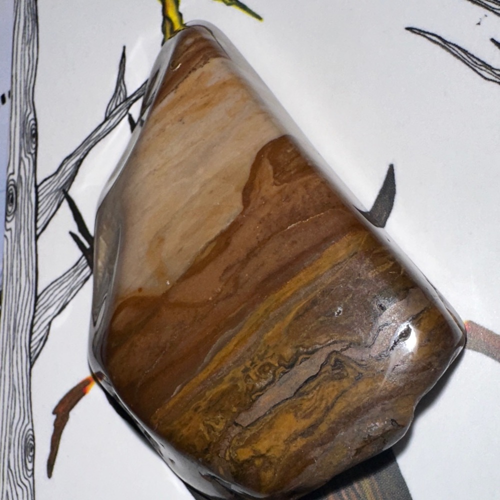 Owyhee Gem picture Jasper specimen larger palm stone A/ worry stone